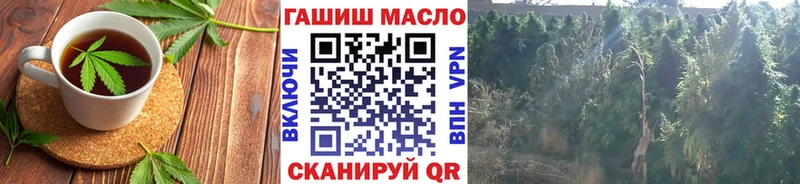 наркотики  Цоци-Юрт  Canna-Cookies конопля 