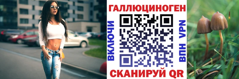 как найти наркотики  Цоци-Юрт  Псилоцибиновые грибы Cubensis 